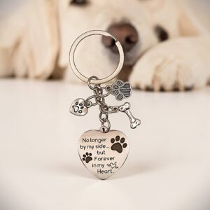 Alternative view of Herdenkingsbedel