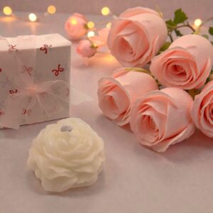 Alternative view of Kaarsje 'Roos'